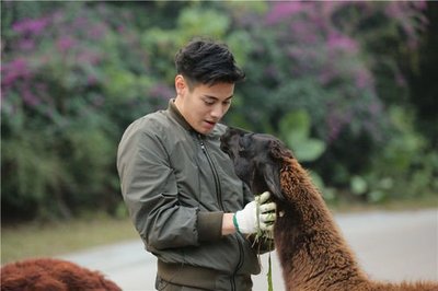 《奇妙的朋友》 收視蟬聯(lián)冠軍，飼養(yǎng)員與動(dòng)物共成長